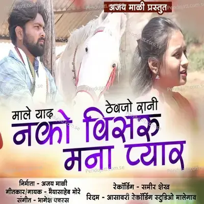 Male Yad Thevjo Rani Nako Visaru Mana Pyar - Bhaiya More album cover 