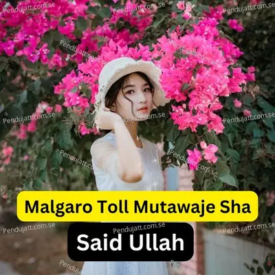 Malgaro Toll Mutawaje Sha - Said Ullah album cover 