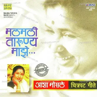 Tumcha Naav Gaav Kaay - Vishwanath More album cover 