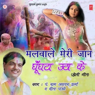 Malwaale Meri Jaan - Pt. Ram Avtar Sharma album cover 