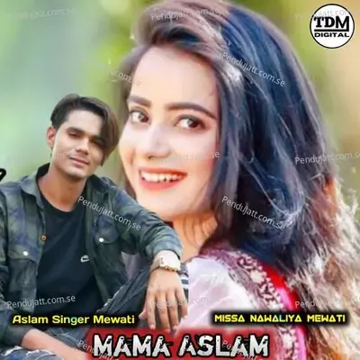 Mama Aslam - Aslam Singer Mewati album cover 