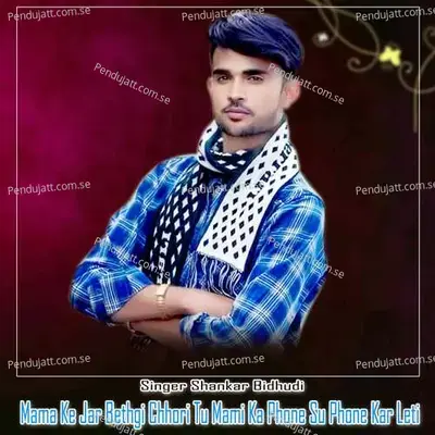Mama Ke Jar Bethgi Chhori Tu Mami Ka Phone Su Phone Kar Leti - Shankar Bidhudi
