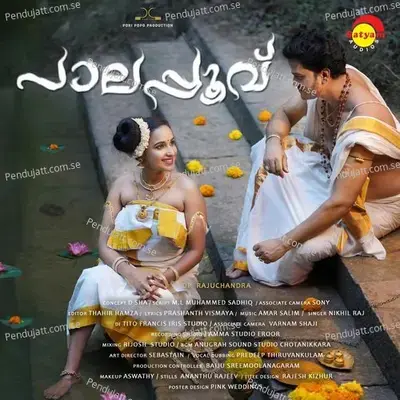 Mama Manasam - Nikhil Raj album cover 