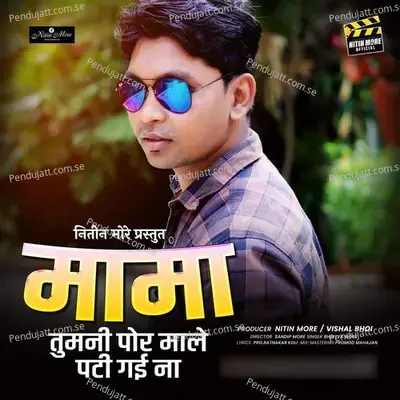 Mama Tumni Por Male Pati Gayi Na - Bhaiya More album cover 