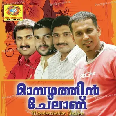 Mohamere Thannathu - Salim Chengoor album cover 