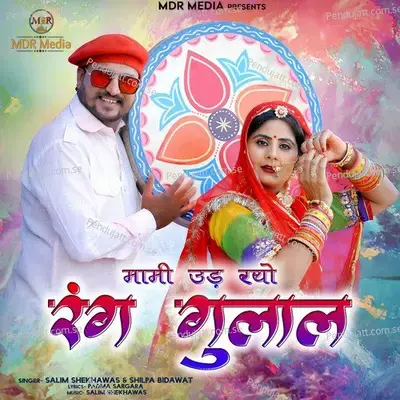 Mami Ud Ryo Rang Gulal - Salim Shekhawas album cover 