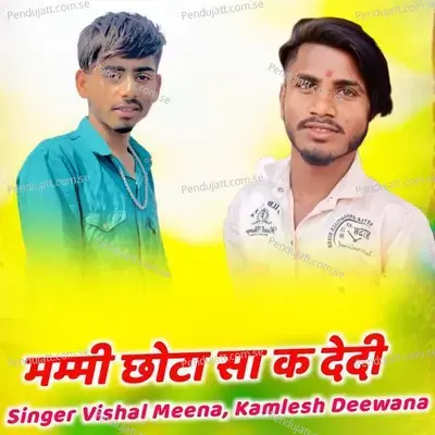Mammi Chota Sa K Dedi - Singer Vishal Meena album cover 