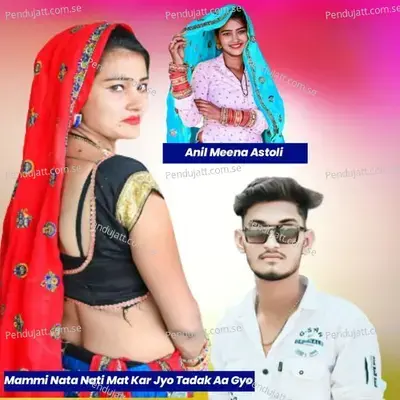 Mammi Nata Nati Mat Kar Jyo Tadak Aa Gyo - Anil Meena Astoli album cover 