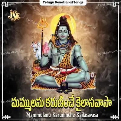 Kanarandi Srisailamu - Ravi album cover 