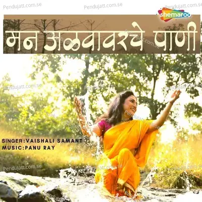 Man Alvavarche Paani - Vaishali Samant album cover 