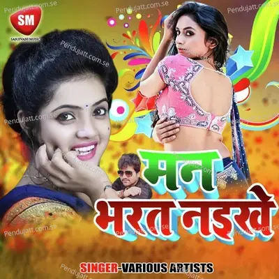 Meri Wali To Mammy Le Aaegi - Milan Yadav album cover 