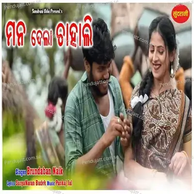 Man Dela Chahali - Brundraban Naik album cover 