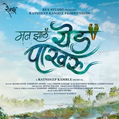 Man Jhal Yed Pakharu - Akash Sante album cover 