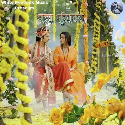 Man Vrindavan - Rajashri Bag album cover 