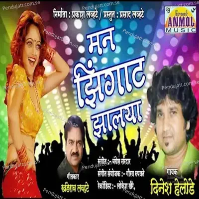 Man Zingat Zhalaya - Dinesh Helode album cover 