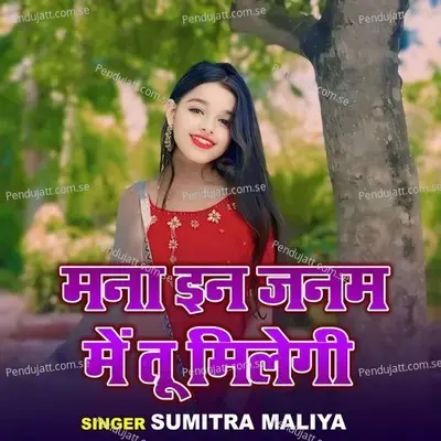 Mana In Janam Mein Tu Milegi - Sumitra Maliya album cover 