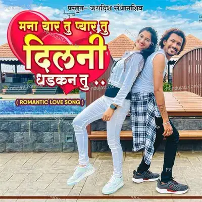 Mana Yaar Tu Pyar Tu Dilani Dhadkan Tu - Jagdish Sandhanshiv album cover 