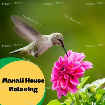 Manali House Relaxing - Lakhan Hire album cover 