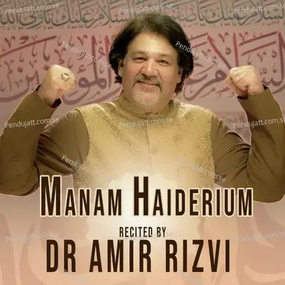 Manam Haiderium - Dr. Amir Rizvi album cover 