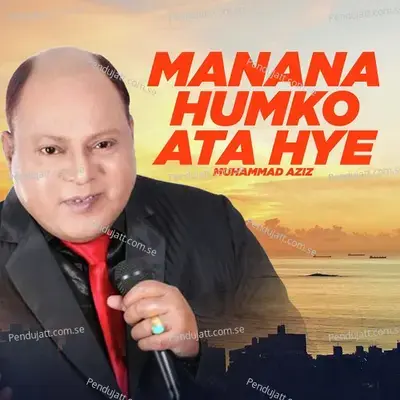 Chalo Na - Mohammed Aziz album cover 