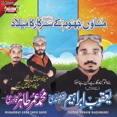 Banda Tu Guhangar Hai - Muhammad Umar Tahir Qadri album cover 