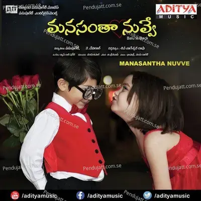 Seethakoka Chilukalaagaa - Vaishnavi album cover 