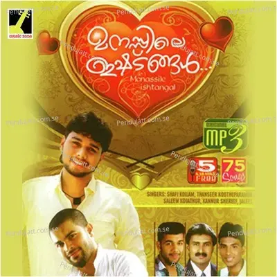 Nila Nila - Anwar Vadakara album cover 