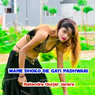 Mane Dhoko De Gayi Padhwari - Satendra Gurjar Jarara album cover 