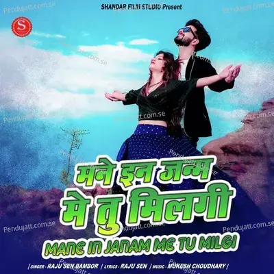 Mane In Janam Me Tu Milgi - Raju Sain Bambor album cover 