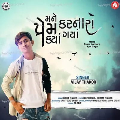 Mane Prem Karnara Kya Gaya - Vijay Thakor album cover 