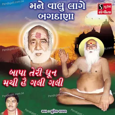 Mane Valu Lage Bagdana - Suresh Raval album cover 