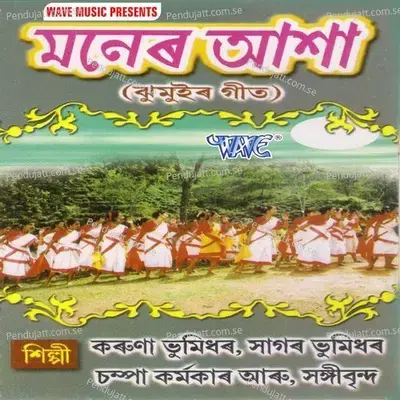 Mai Baape Janam Dile - Dilip Nayak album cover 