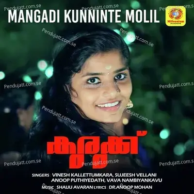 Mangadi Kunninte Molil - Vinesh Kallettumkara album cover 