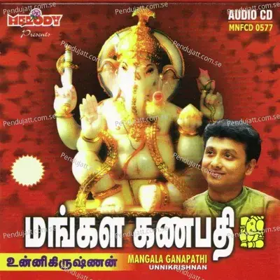 Sankaran Pettravan - Karna album cover 