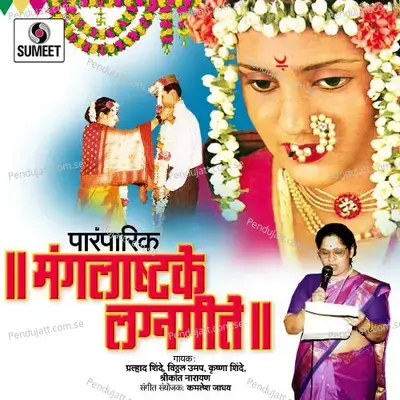 Dhol Tashyachya Gajarat - Vitthal Umap album cover 