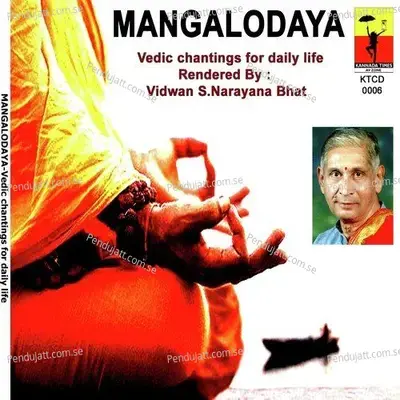 Manyu Suktam - S. Narayan album cover 