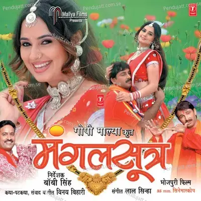 Nirua Satal Rahi - Radheshyam Rasiya album cover 