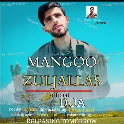 Zuljallas - Ayaan album cover 