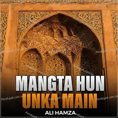 Mangta Hun Unka Main - Ali Hamza album cover 