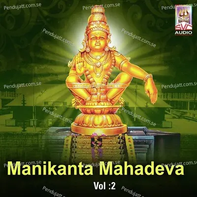 Gananadha Gowri Putra - Gangaputra Narsing Rao album cover 