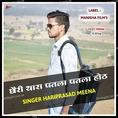 Manisha Tera Patla Patla Hot - Hariprasad Meena album cover 