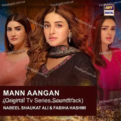 Mann Aangan - Nabeel Shaukat Ali album cover 