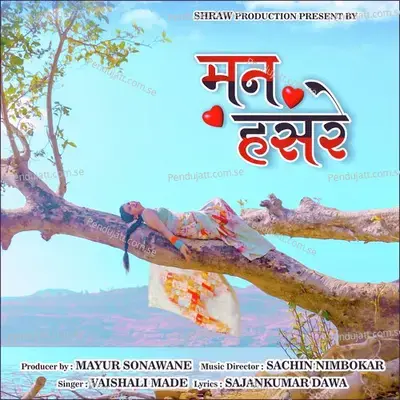 Mann Hasre - Vaishali Made album cover 