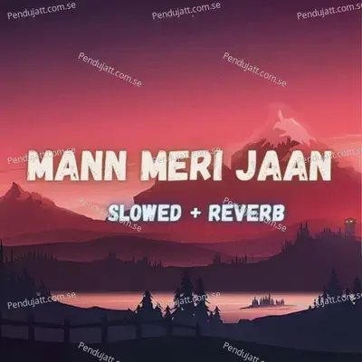 Mann Meri Jaan - DJ Rk album cover 