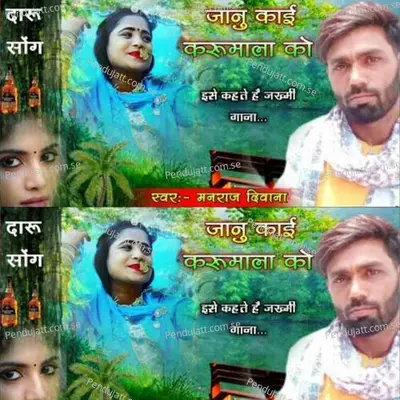 Manraj Deewana Janu Kai Keru Mala Ko - vjp king album cover 