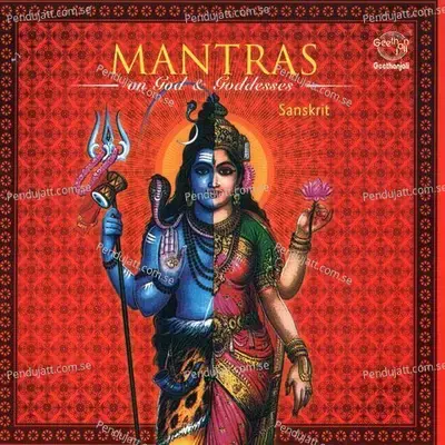 Mantras On God   Goddesses - Dr.R. Thiagarajan cover album