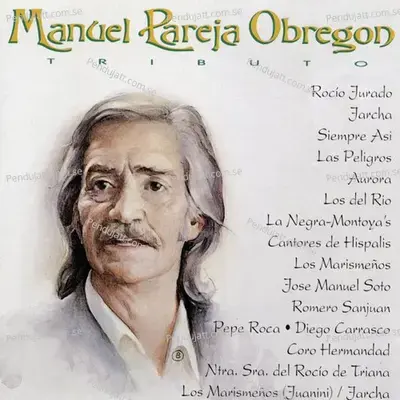 Medley - Jose Manuel Soto album cover 