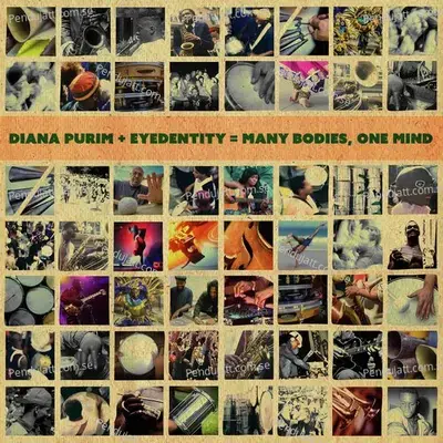 Many Bodies One Mind - Diana Purim cover album