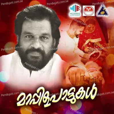 Madhu Vidhuvin - Ashalatha album cover 