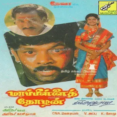 Palirukudhu Pazhamirukudhu - Vaali album cover 